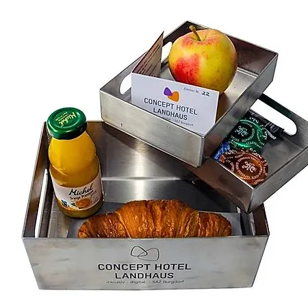 Concept - Digital Burgdorf