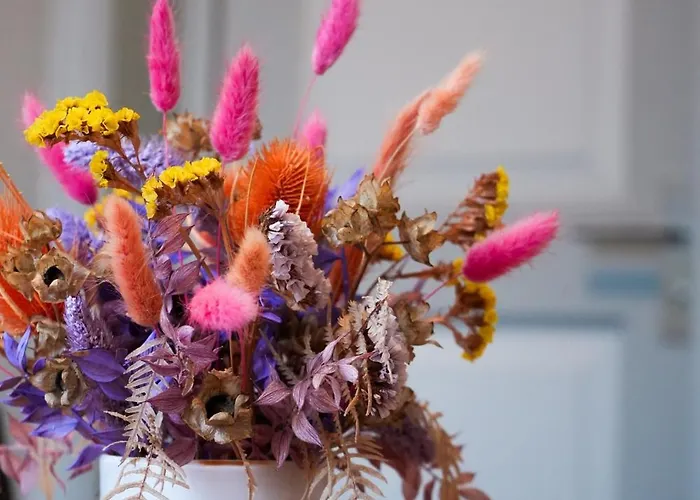 Concept - Digital 3* Burgdorf